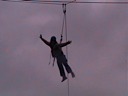 The Flying Squirrel