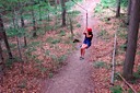 The zipline