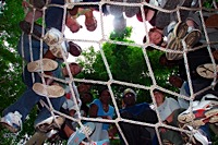 DCP_0754