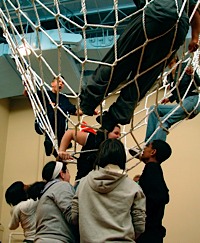 AC cargo net.JPG