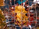 Together in the Bird's Nest