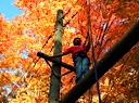 Blindfolded on the Cat Walk